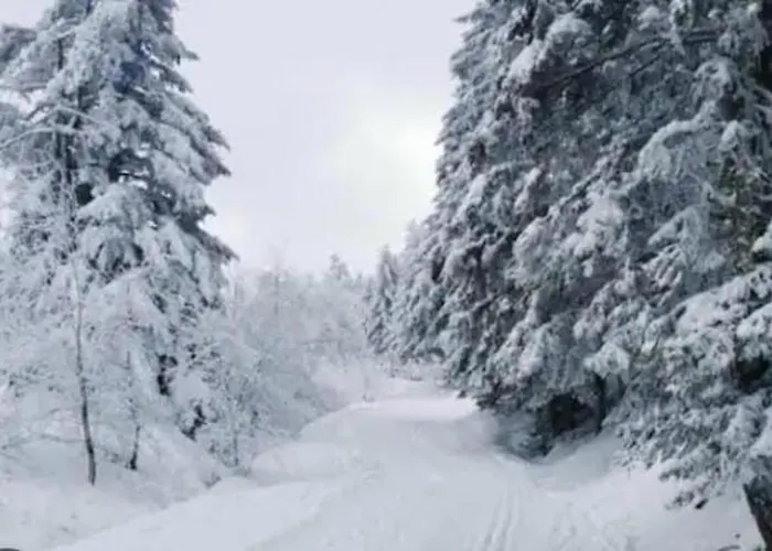 Apartment Cozy Mountain View 3-bedroom Pyrenees