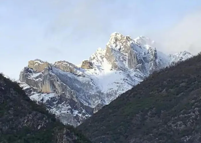 Cozy Mountain View 3-bedroom Pyrenees Apartment